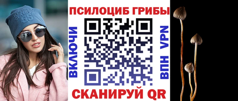 Псилоцибиновые грибы ЛСД  Струнино 